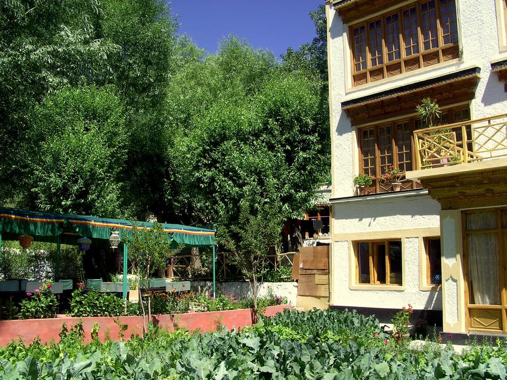 New Moon Guest House Лех Экстерьер фото