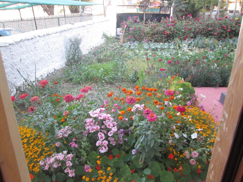 New Moon Guest House Лех Экстерьер фото